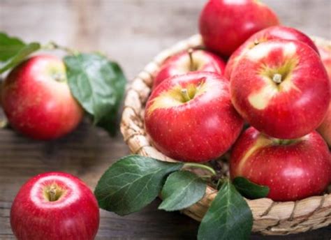 elma mideye faydaları